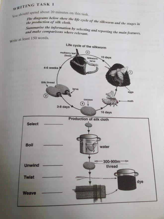 Writing Task 1 Sample Answer Process Question Ielts Advantage