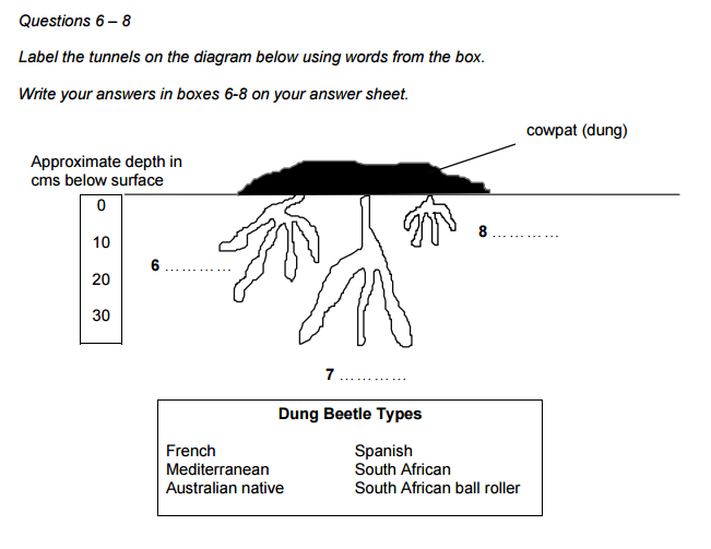 Kingdom Hearts Beginning Questions Chart