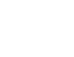 Image: IELTS-VIP-logo-white-300x231